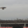 09_20-mast.jpg