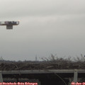 09_25-mast.jpg