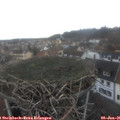 09_30-nest.jpg