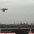 09_45-mast.jpg