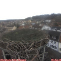 09_45-nest.jpg