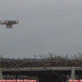 09_55-mast.jpg