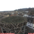10_00-nest.jpg