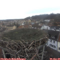10_05-nest.jpg