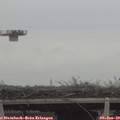10_15-mast.jpg