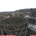 10_15-nest.jpg