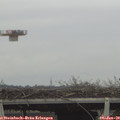 10_20-mast.jpg