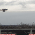 10_30-mast.jpg