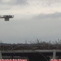 10_35-mast.jpg