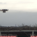 10_40-mast.jpg