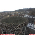 10_40-nest.jpg