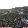 10_50-nest.jpg