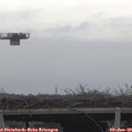 10_55-mast.jpg