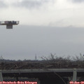 11_00-mast.jpg