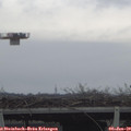 11_05-mast.jpg