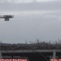 11_10-mast.jpg