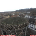 11_10-nest.jpg