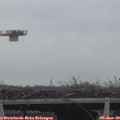11_15-mast.jpg