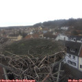 11_25-nest.jpg