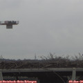 11_30-mast.jpg