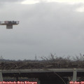 11_35-mast.jpg