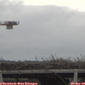 11_40-mast.jpg
