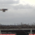 11_45-mast.jpg