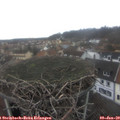 12_05-nest.jpg