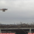 12_10-mast.jpg