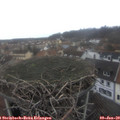12_25-nest.jpg