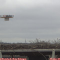 12_30-mast.jpg