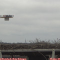 12_55-mast.jpg