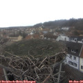 12_55-nest.jpg