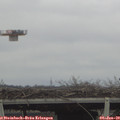 13_00-mast.jpg