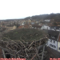 13_00-nest.jpg