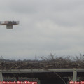 13_10-mast.jpg