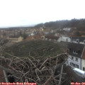 13_15-nest.jpg