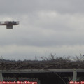 13_25-mast.jpg