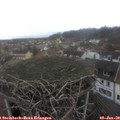 13_25-nest.jpg