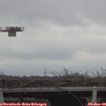 13_30-mast.jpg