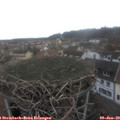 14_00-nest.jpg