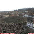 14_05-nest.jpg