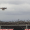 14_10-mast.jpg