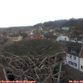 14_10-nest.jpg