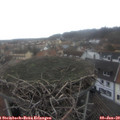 14_15-nest.jpg