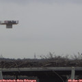 14_20-mast.jpg