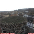 14_20-nest.jpg