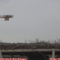 14_30-mast.jpg