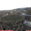 14_30-nest.jpg