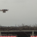 14_35-mast.jpg